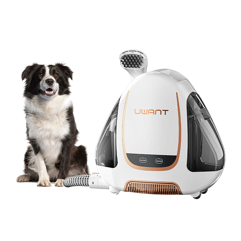 UWANT B100-S Multiple Spot Cleaner