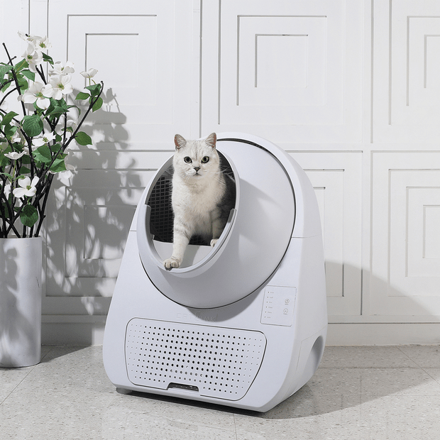 CATLINK Smart Litter Box(Young Version)