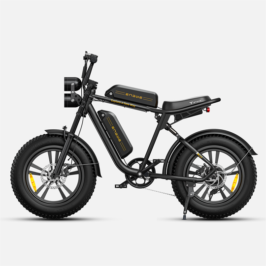 ENGWE M20