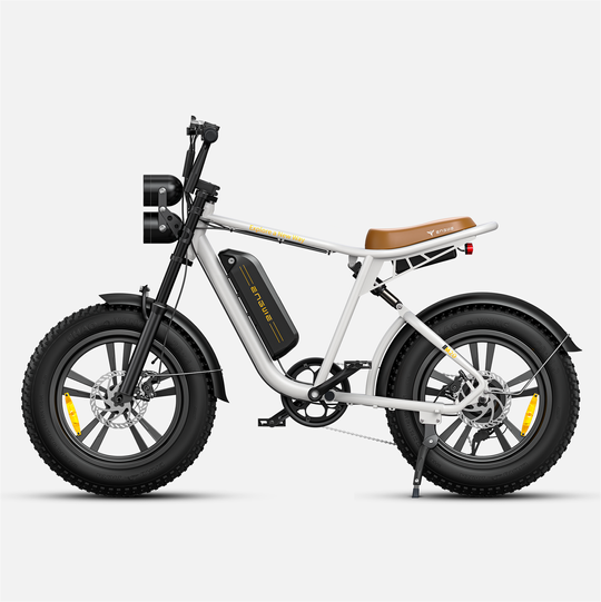 ENGWE M20